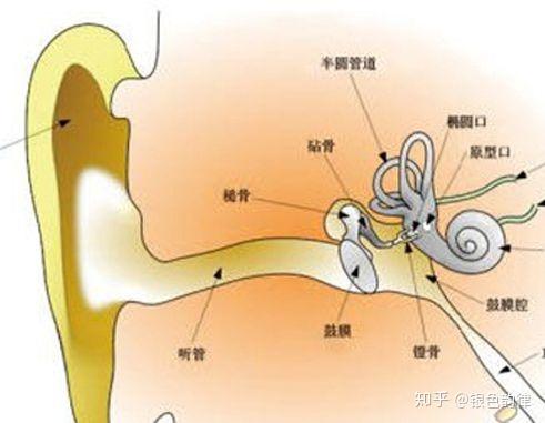 人耳能够听到的声波频率范围约在（）。