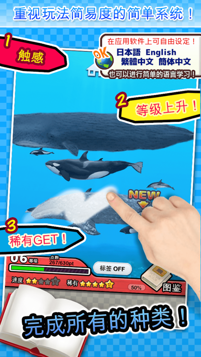 世界鲸与海豚图鉴(图1)