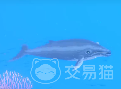 潜水员戴夫鲸鱼骨获取攻略潜水员戴夫手机版鲸鱼骨如何获取_交易猫(图3)