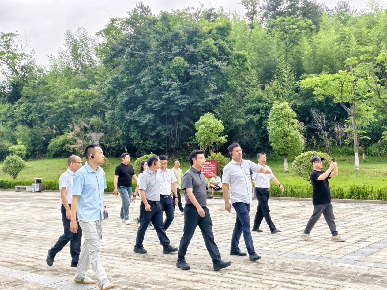 聚焦跨区域协同发展品牌传播总台调研组支招大张家界国际旅游区建设(图1)