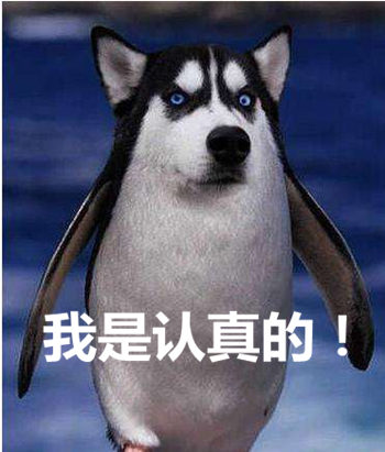 吴建:中国人旅游越来越高端去趟南极都不是事儿(图1)