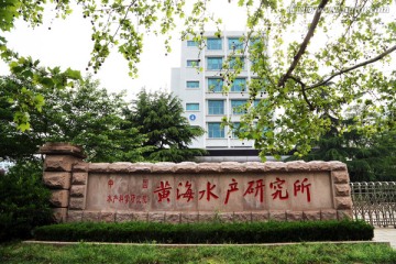南海局势-观察者网