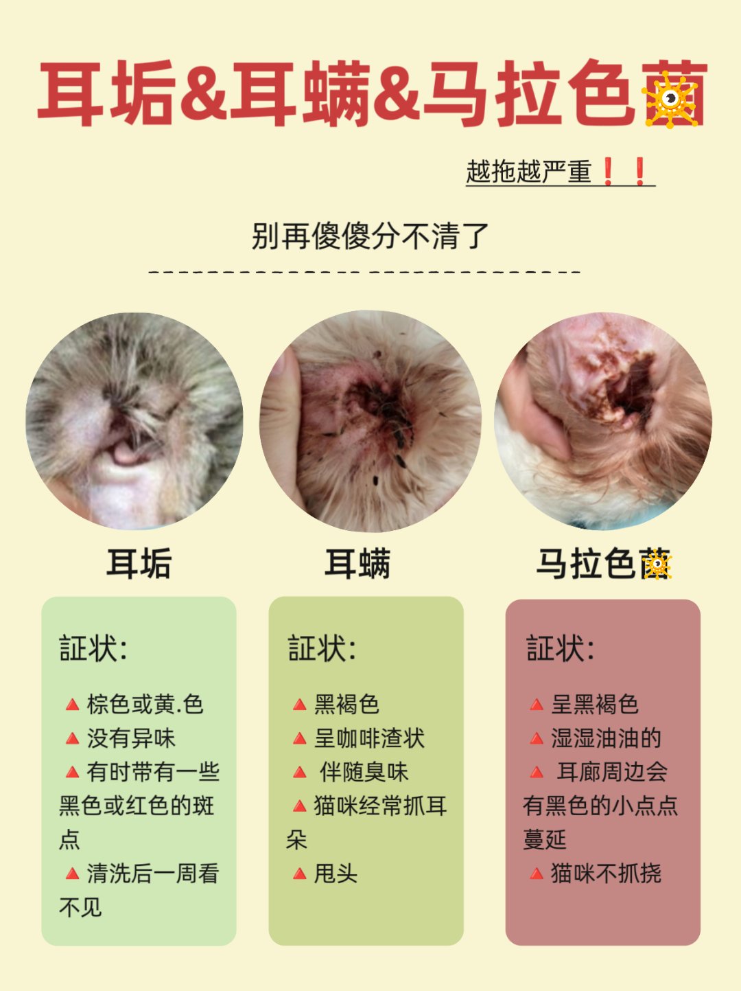 财富趋势(688318)_股票行情_走势图—东方财富网