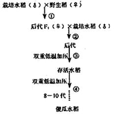 板块聚焦_东方财富网